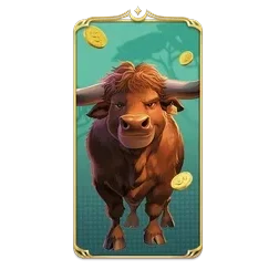 Buffalo



King